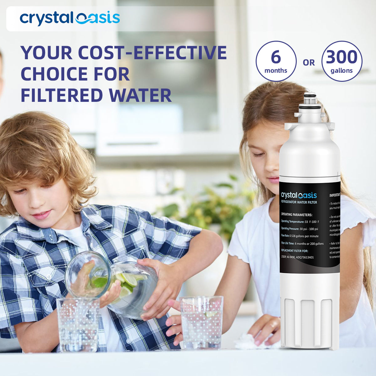 Crystal Oasis water filter safe for family