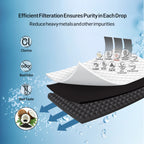 multi stage filtration system